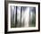 Sacred-Viviane Fedieu Daniel-Framed Photographic Print