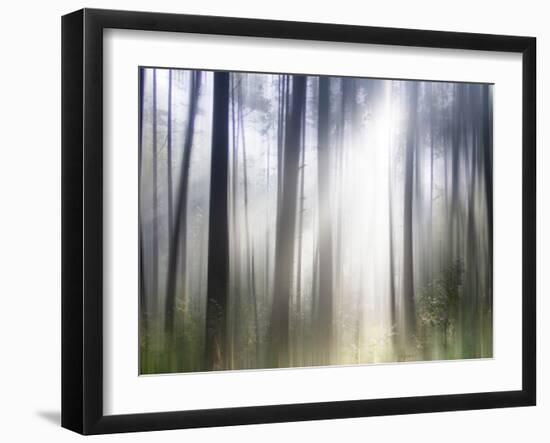 Sacred-Viviane Fedieu Daniel-Framed Photographic Print