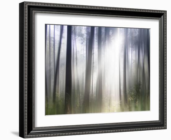 Sacred-Viviane Fedieu Daniel-Framed Photographic Print