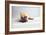 Sad Frenchie-Susan Sabo-Framed Photographic Print