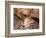 Sad Grizzly Bear-Terry Eggers-Framed Photographic Print