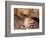 Sad Grizzly Bear-Terry Eggers-Framed Photographic Print