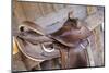 Saddle resting on the railing, Tucson, Arizona, USA.-Julien McRoberts-Mounted Photographic Print