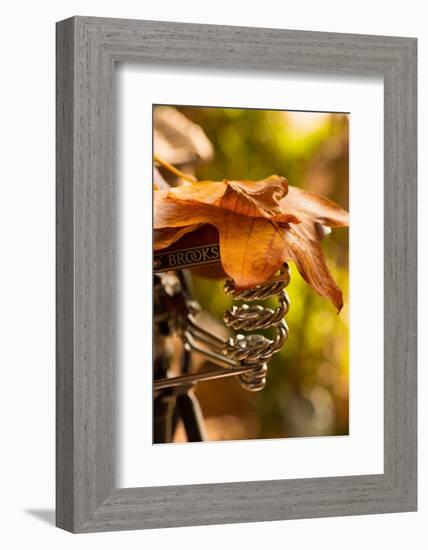 Saddle Up for the Fall-Philippe Sainte-Laudy-Framed Photographic Print