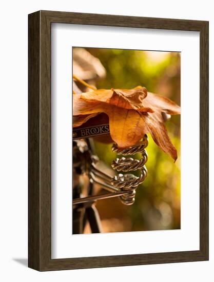 Saddle Up for the Fall-Philippe Sainte-Laudy-Framed Photographic Print