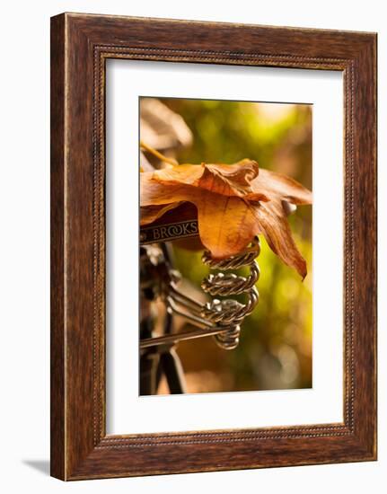 Saddle Up for the Fall-Philippe Sainte-Laudy-Framed Photographic Print