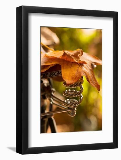 Saddle Up for the Fall-Philippe Sainte-Laudy-Framed Photographic Print