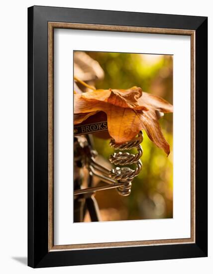 Saddle Up for the Fall-Philippe Sainte-Laudy-Framed Photographic Print