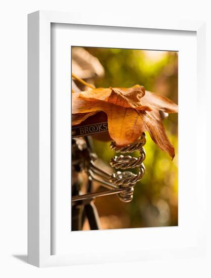 Saddle Up for the Fall-Philippe Sainte-Laudy-Framed Photographic Print