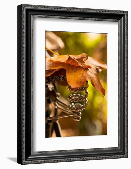 Saddle Up for the Fall-Philippe Sainte-Laudy-Framed Photographic Print