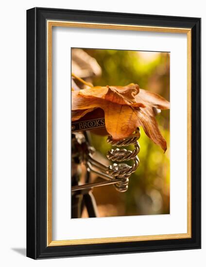 Saddle Up for the Fall-Philippe Sainte-Laudy-Framed Photographic Print