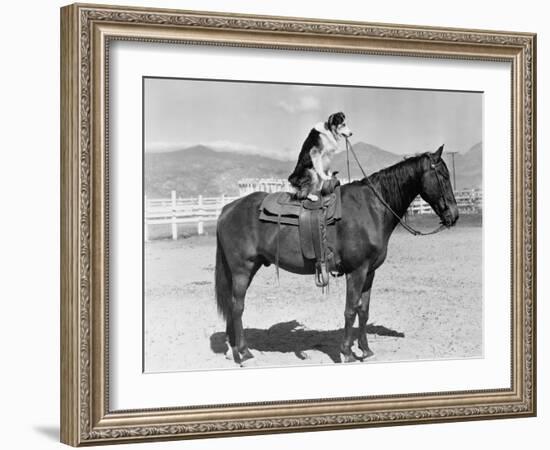 SADDLE UP-Everett Collection-Framed Photographic Print