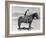 SADDLE UP-Everett Collection-Framed Photographic Print