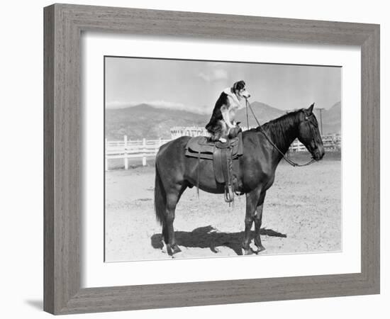 SADDLE UP-Everett Collection-Framed Photographic Print