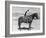 SADDLE UP-Everett Collection-Framed Photographic Print