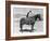 SADDLE UP-Everett Collection-Framed Photographic Print