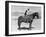 SADDLE UP-Everett Collection-Framed Photographic Print