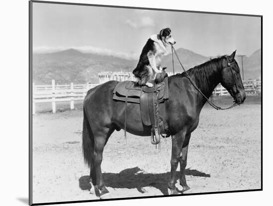 SADDLE UP-Everett Collection-Mounted Photographic Print