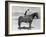 SADDLE UP-Everett Collection-Framed Photographic Print