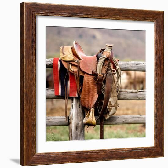 Saddle Up-Danita Delimont-Framed Photo