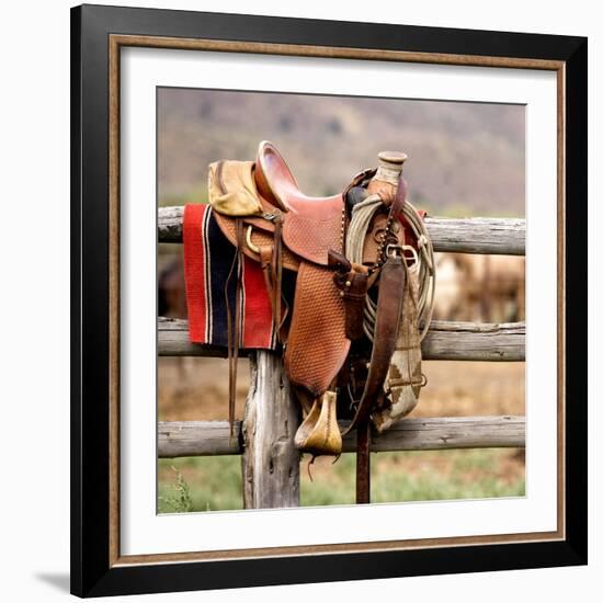 Saddle Up-Danita Delimont-Framed Photo