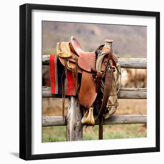 Saddle Up-Danita Delimont-Framed Photo