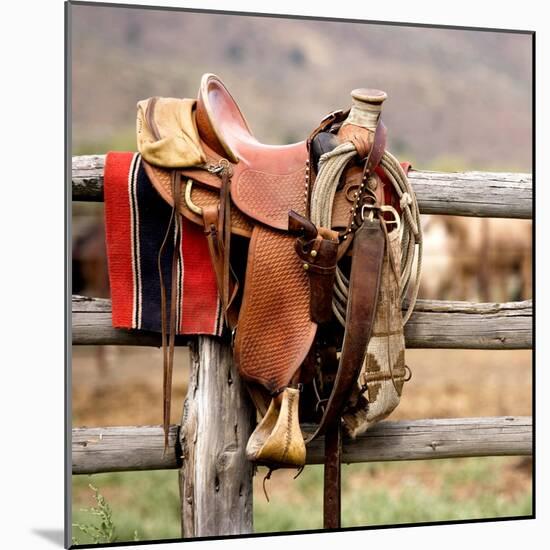 Saddle Up-Danita Delimont-Mounted Photo