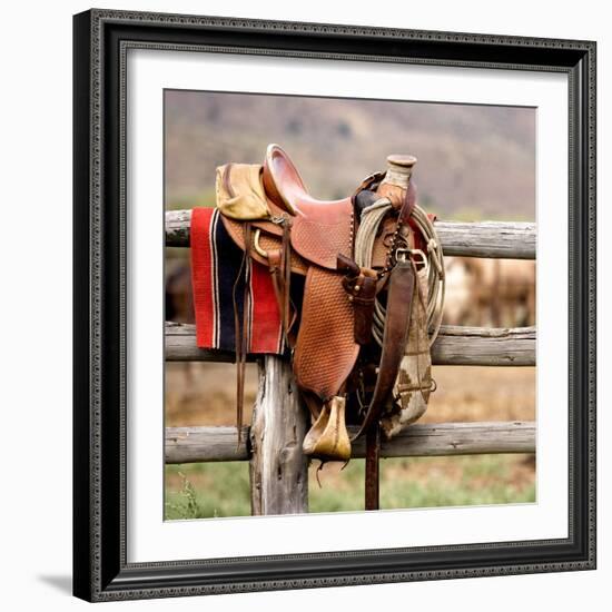 Saddle Up-Danita Delimont-Framed Photo