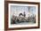 Saddle White Surry for Cheapside to Morrow, 1812-George Cruikshank-Framed Giclee Print