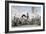 Saddle White Surry for Cheapside to Morrow, 1812-George Cruikshank-Framed Giclee Print
