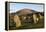 Saddlebac (Blencathra), from Castlerigg Stone Circle, Lake District National Park, Cumbria, England-James Emmerson-Framed Premier Image Canvas