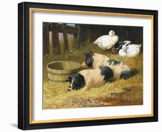 Saddleback Pigs and Ducks in a Farmyard-John Frederick Herring II-Framed Giclee Print