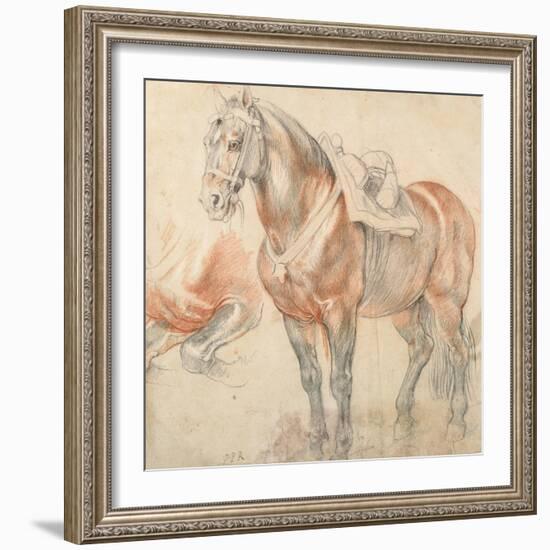 Saddled Horse, C. 1616-1618-Peter Paul Rubens-Framed Giclee Print