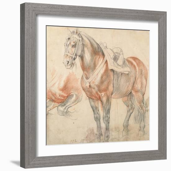 Saddled Horse, C. 1616-1618-Peter Paul Rubens-Framed Giclee Print