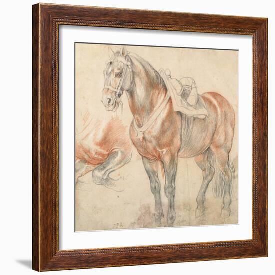 Saddled Horse, C. 1616-1618-Peter Paul Rubens-Framed Giclee Print