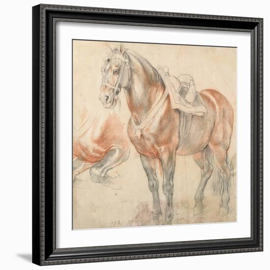 Saddled Horse, C. 1616-1618-Peter Paul Rubens-Framed Giclee Print