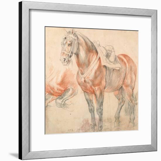 Saddled Horse-Peter Paul Rubens-Framed Giclee Print