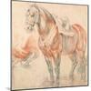 Saddled Horse-Peter Paul Rubens-Mounted Giclee Print