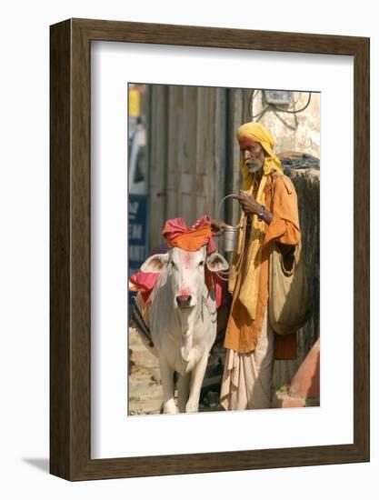 Sadhu, Holy Man, with Cow During Pushkar Camel Festival, Rajasthan, Pushkar, India-David Noyes-Framed Photographic Print