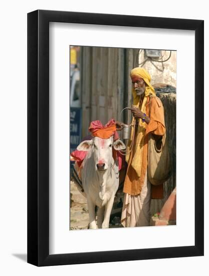 Sadhu, Holy Man, with Cow During Pushkar Camel Festival, Rajasthan, Pushkar, India-David Noyes-Framed Photographic Print