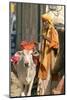 Sadhu, Holy Man, with Cow During Pushkar Camel Festival, Rajasthan, Pushkar, India-David Noyes-Mounted Photographic Print