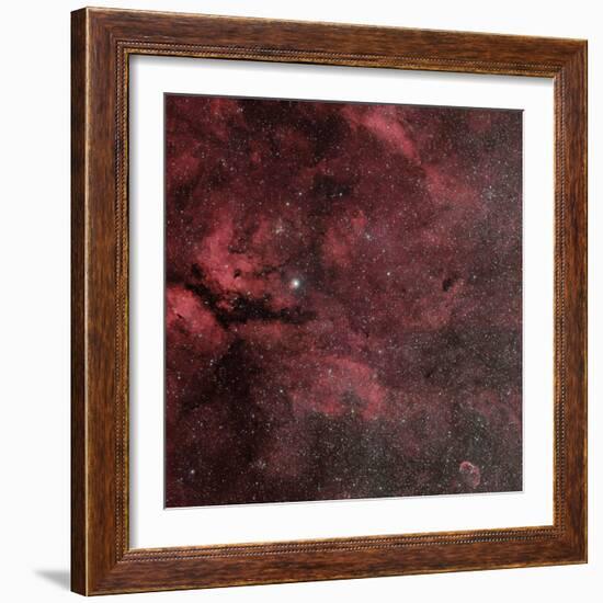 Sadr Region with the Crescent Nebula-Stocktrek Images-Framed Photographic Print