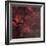 Sadr Region with the Crescent Nebula-Stocktrek Images-Framed Photographic Print