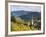 Saeben Monastery and Abbey in Autumn. Alto Adige, South Tyrol, Italy-Martin Zwick-Framed Photographic Print