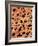 Safari Adventure Animal Footprints-Bee Sturgis-Framed Premium Giclee Print