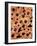 Safari Adventure Animal Footprints-Bee Sturgis-Framed Premium Giclee Print