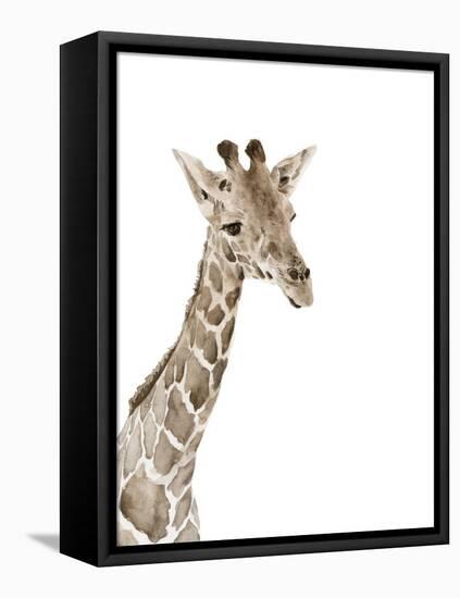 Safari Animal Portraits II-Melissa Wang-Framed Stretched Canvas