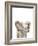 Safari Animal Portraits III-Melissa Wang-Framed Art Print