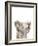 Safari Animal Portraits III-Melissa Wang-Framed Art Print