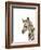 Safari Animal Portraits IV-Melissa Wang-Framed Art Print